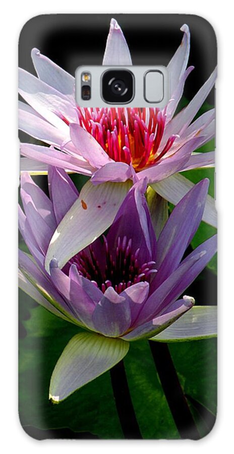 Water Lily Galaxy Case featuring the photograph Two by Two by Rosalie Scanlon