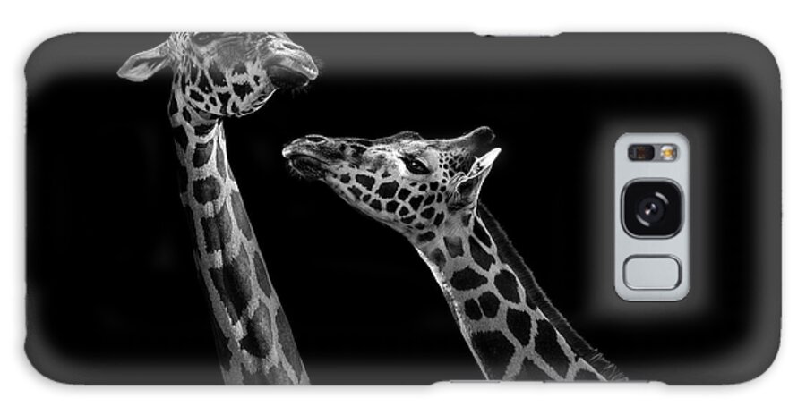 Giraffe Galaxy Case featuring the photograph Two giraffes in black and white by Lukas Holas