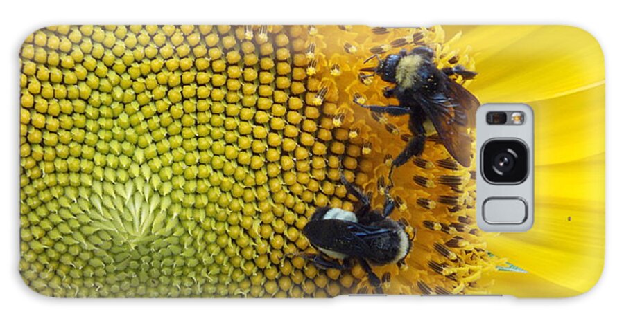 Sunflower Galaxy Case featuring the photograph Two is Company by Virginia Coyle