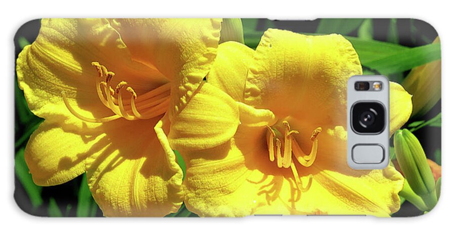 Lily Galaxy Case featuring the photograph Two of a Kind by Linda Stern