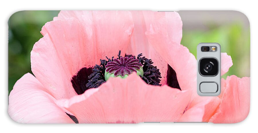 Pink Galaxy S8 Case featuring the photograph Two Pink Poppies by Maria Janicki
