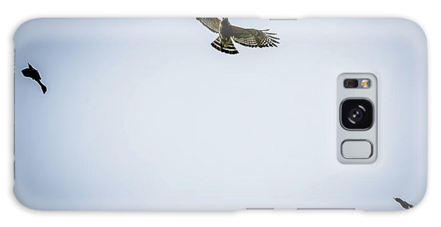 Hawk Galaxy Case featuring the digital art Two Police birds attack predator Hawk by Ed Stines