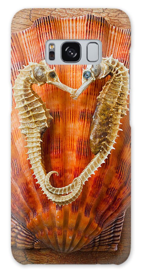 Two Seahorses Galaxy Case featuring the photograph Two seahorses on seashell by Garry Gay