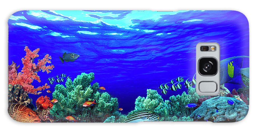 Photography Galaxy Case featuring the photograph Underwater View Of Pallid Triggerfish by Panoramic Images
