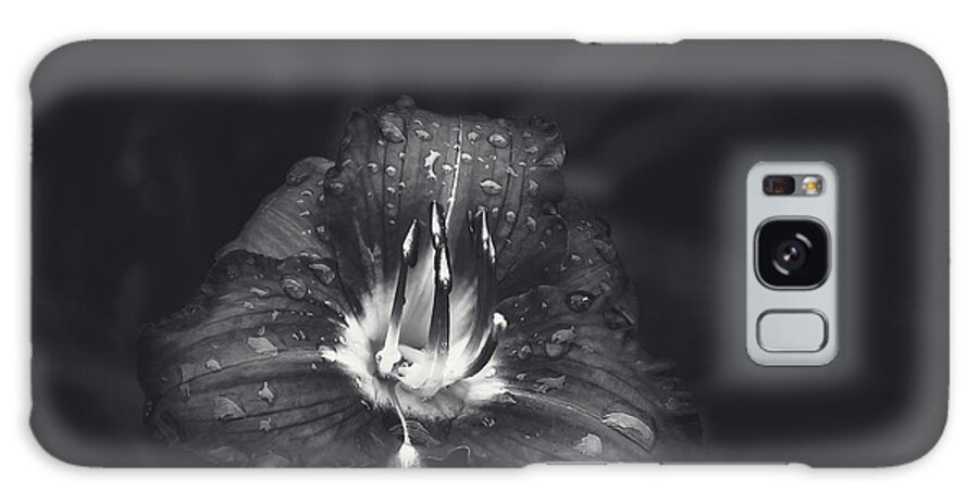 Lily Galaxy Case featuring the photograph Untitled Lily by Scott Norris