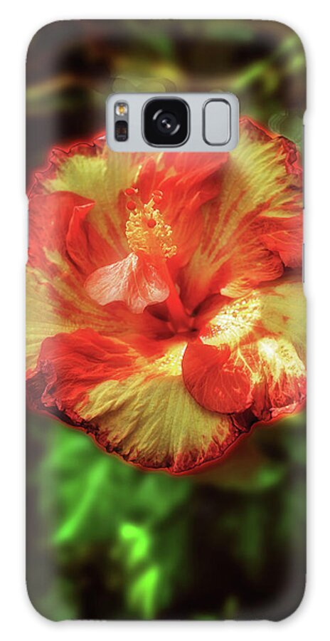Flower Galaxy Case featuring the photograph Variegated Flower by Joseph Hollingsworth
