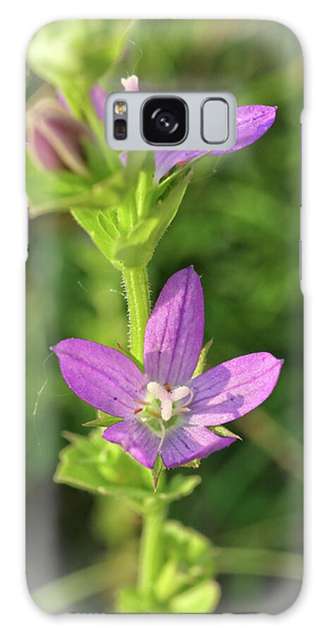 Flower Galaxy S8 Case featuring the photograph Venus Looking Glass by Scott Kingery