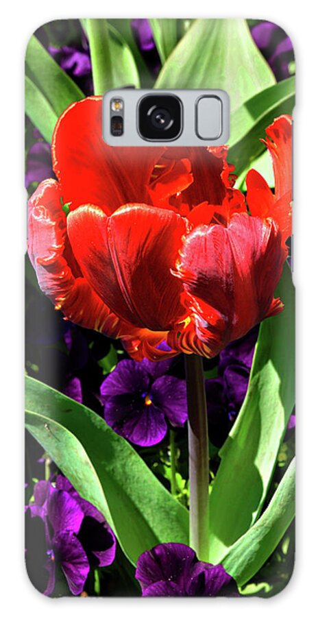 Tulips Galaxy Case featuring the photograph Vermilion Tulip by Cate Franklyn