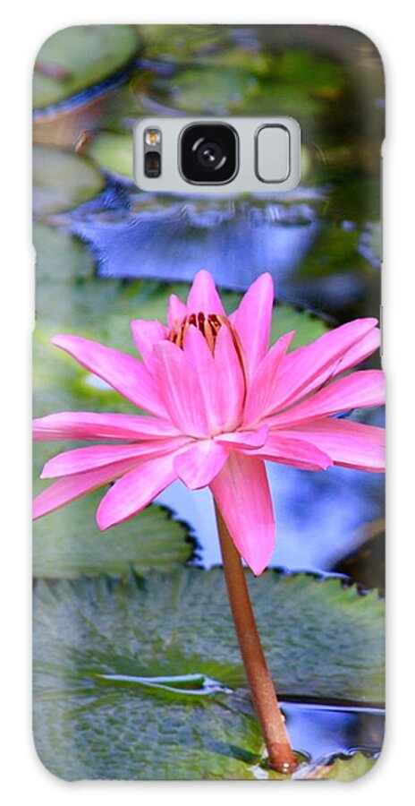 Mckee Botanical Garden Galaxy Case featuring the photograph Vibrant Pink Lotus on The Pond by M E
