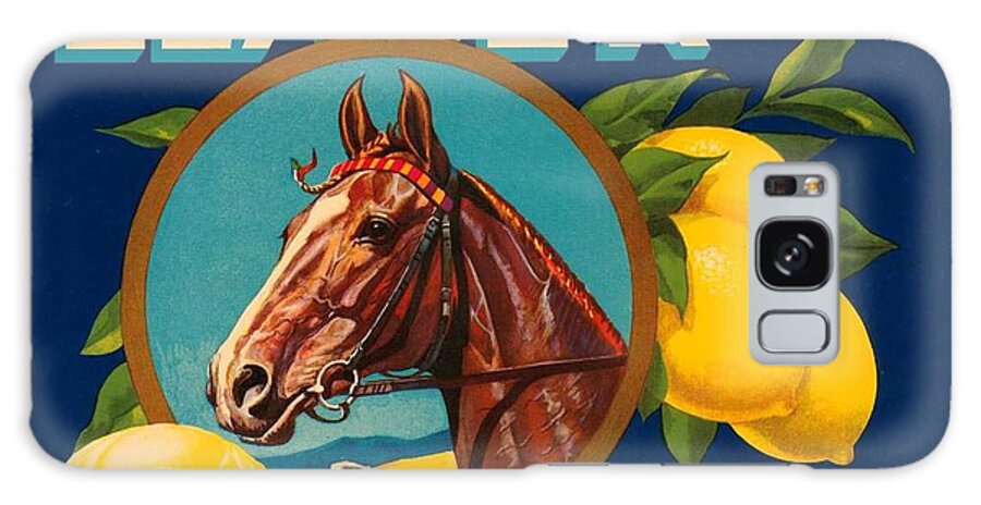 Pd Galaxy Case featuring the painting Vintage Fruit Label by Thea Recuerdo