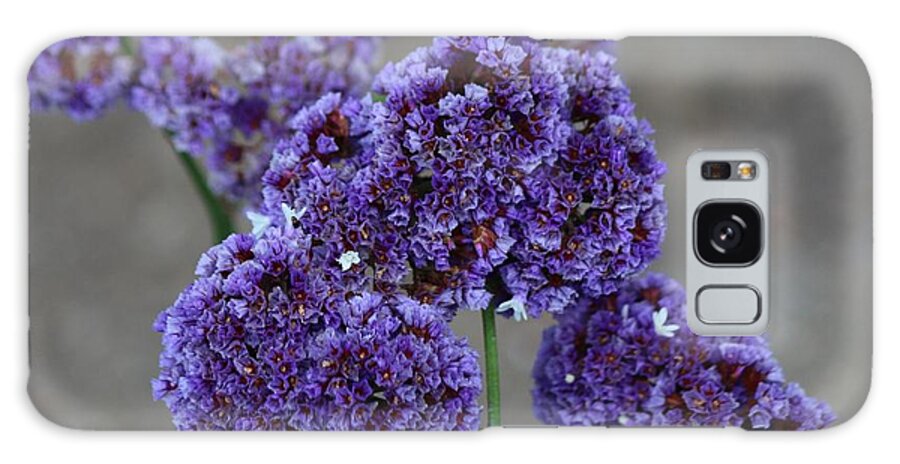 Flowers Galaxy Case featuring the photograph Violet Beauty by Christy Pooschke