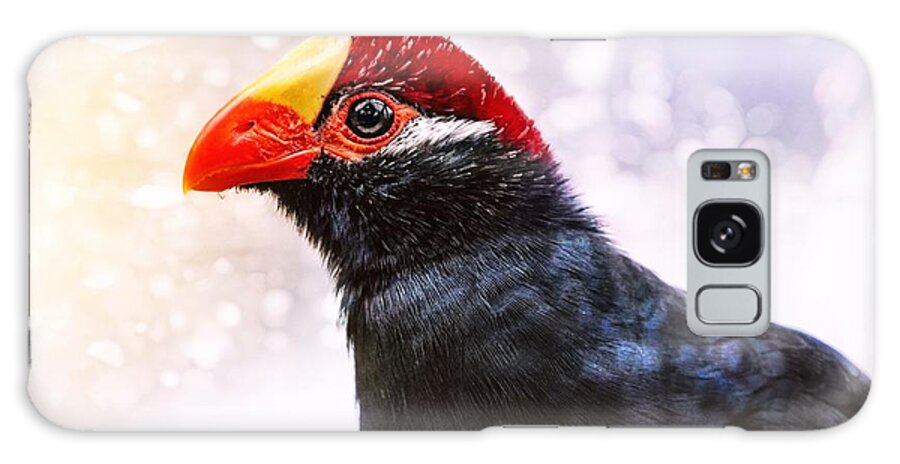 Violet Turaco Galaxy Case featuring the photograph Violet Turaco by Jaroslav Buna