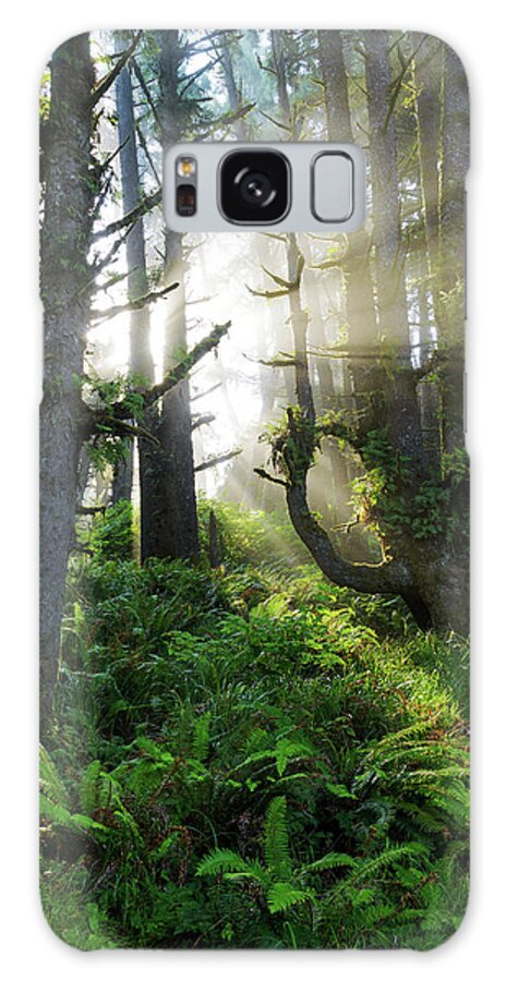 Vision Galaxy Case featuring the photograph Vision by Chad Dutson