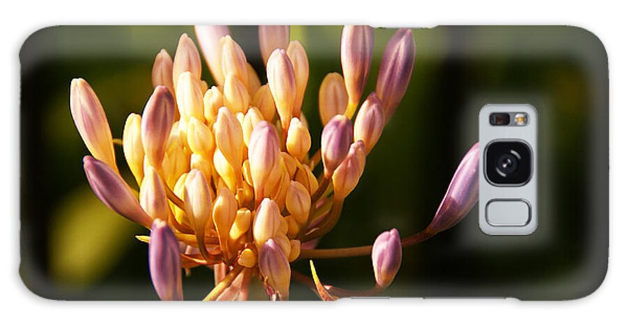 Flower Galaxy Case featuring the photograph Waiting To Blossom Into Beauty by Linda Shafer