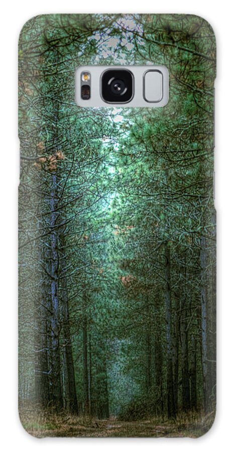 Landscape Galaxy Case featuring the photograph Walk in the Woods by Loni Collins