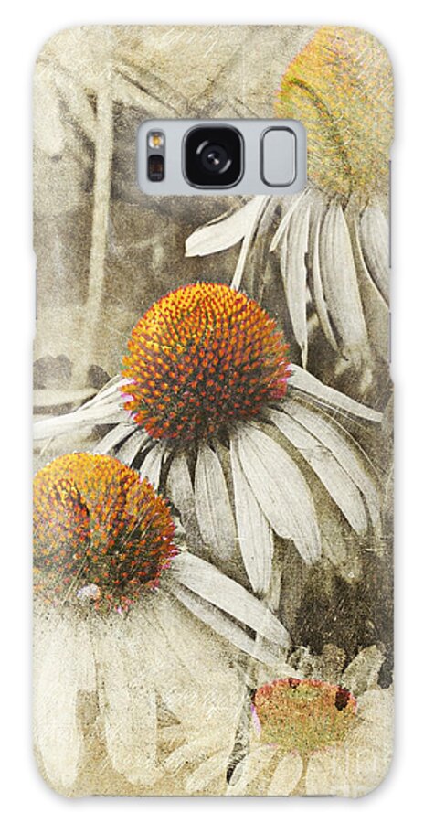 Cone Flowers Galaxy Case featuring the photograph Walker Alert...orange Cones Ahead by Rene Crystal