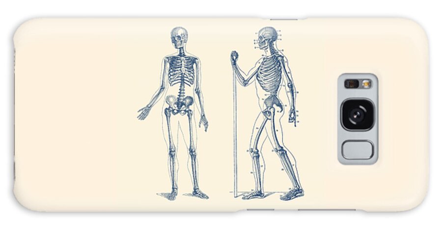 Skull Galaxy Case featuring the drawing Walking Skeleton - Simple Dual-View - Vintage Anatomy Print by Vintage Anatomy Prints