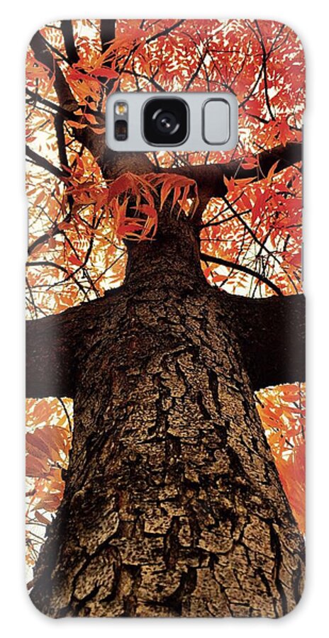 Tree Galaxy Case featuring the photograph Walking Tree on Fire by Doris Aguirre