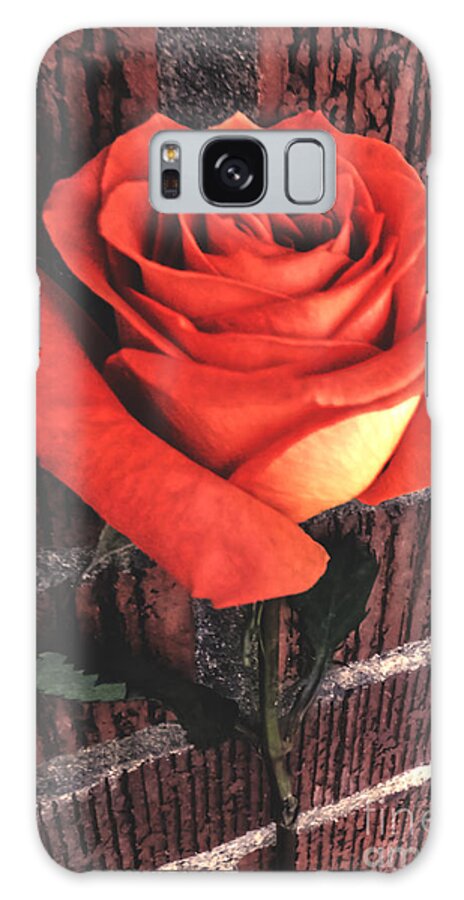 Rose Galaxy Case featuring the photograph Wallflower by Charlie Cliques
