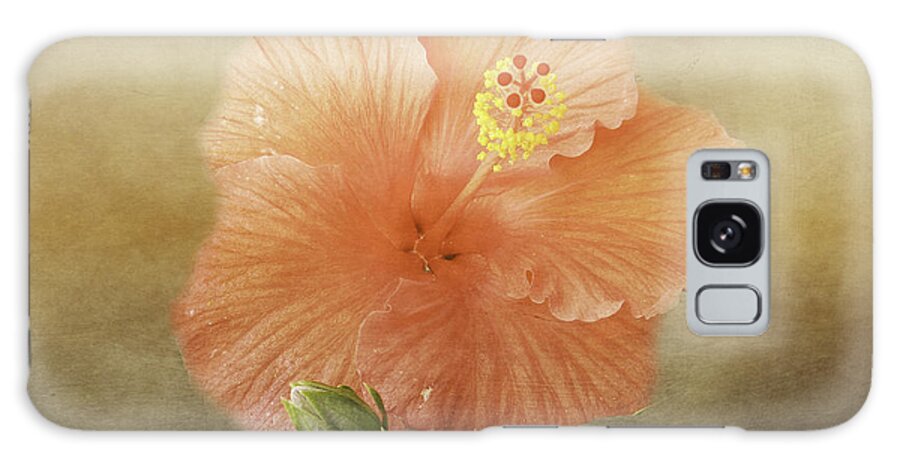 Hibiscus Galaxy Case featuring the photograph Warm Hibiscus by Judy Hall-Folde