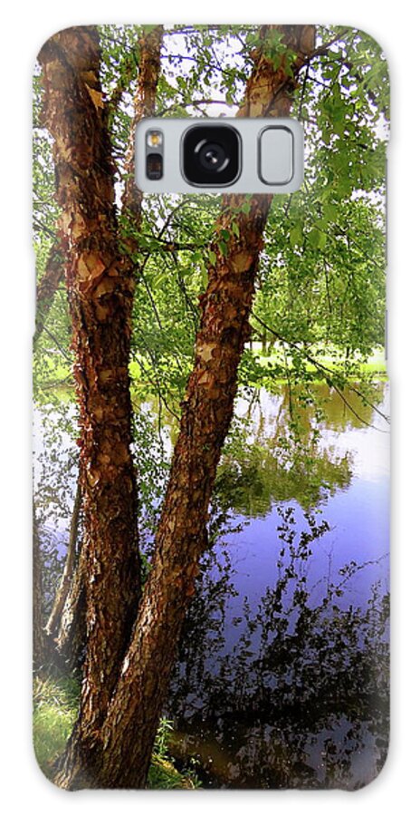 Water Galaxy S8 Case featuring the photograph Water Birch by Mike Flake