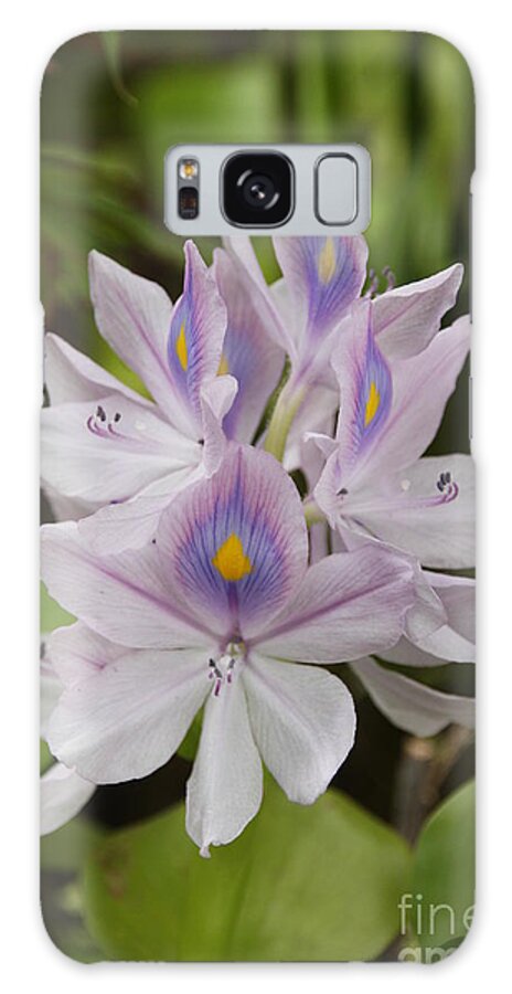 Pond Galaxy Case featuring the photograph Water Hyacinth by Wendy Coulson