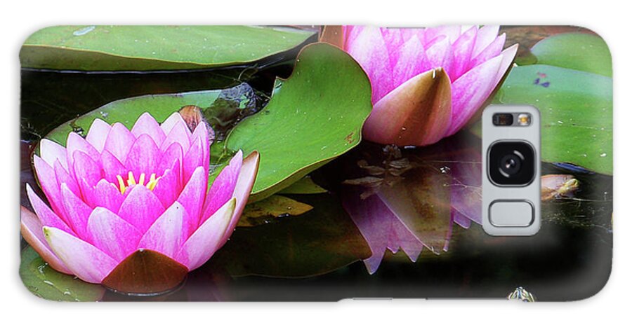 Water Lilies Galaxy S8 Case featuring the photograph Water Lilies by Anthony Jones