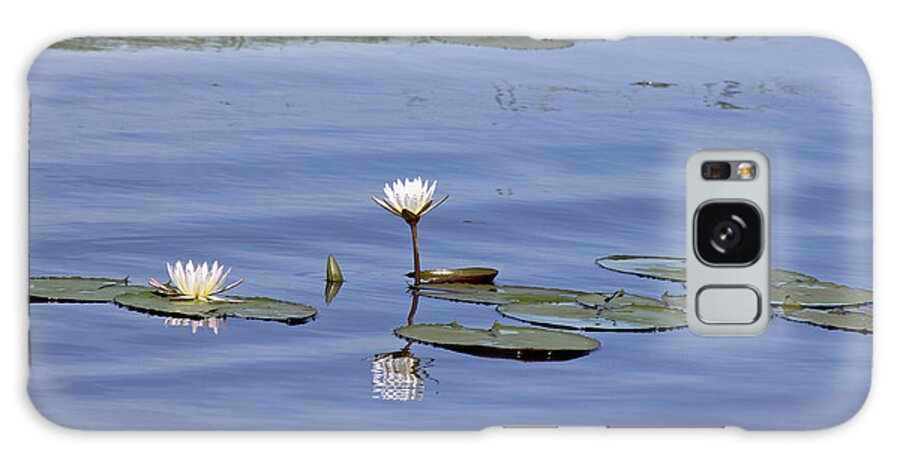 Botswana Galaxy Case featuring the photograph Water Lilies by Tony Murtagh