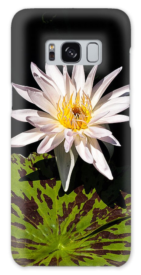 Floral Galaxy S8 Case featuring the photograph Water Lily by Tom Potter