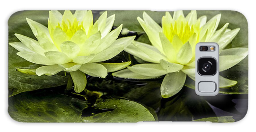 Waterlilies Galaxy Case featuring the photograph Waterlily Duet by Venetia Featherstone-Witty