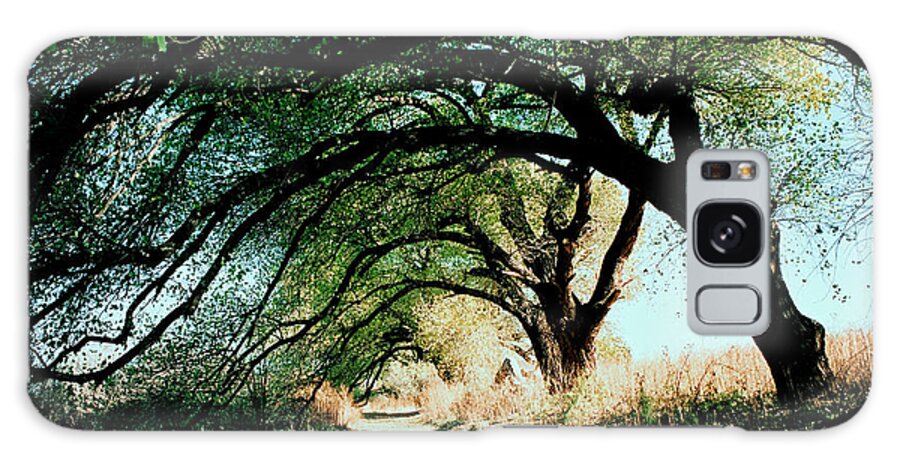 Avenue Galaxy Case featuring the digital art Welkom. Come home with me by Vincent Franco