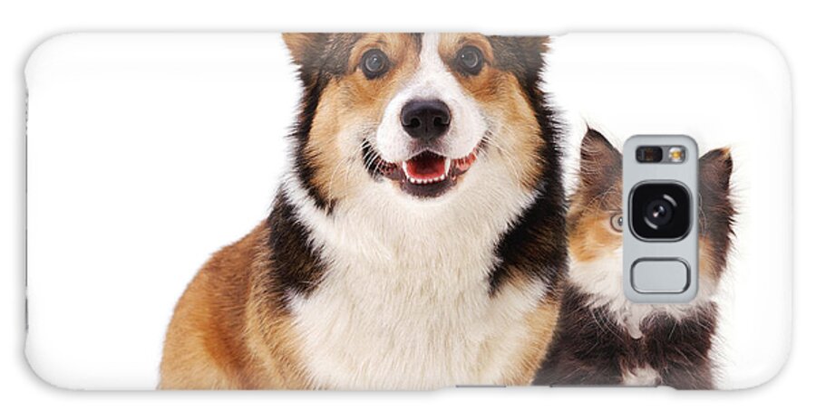 White Background Galaxy Case featuring the photograph Welsh Corgi And Kitten by Jane Burton