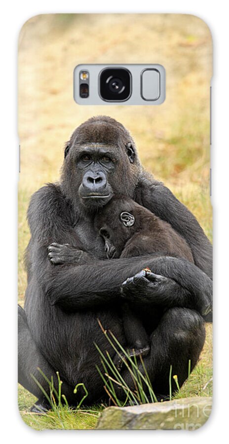 Western Lowland Gorilla Galaxy Case featuring the photograph Western Gorilla And Young by Jurgen & Christine Sohns/FLPA
