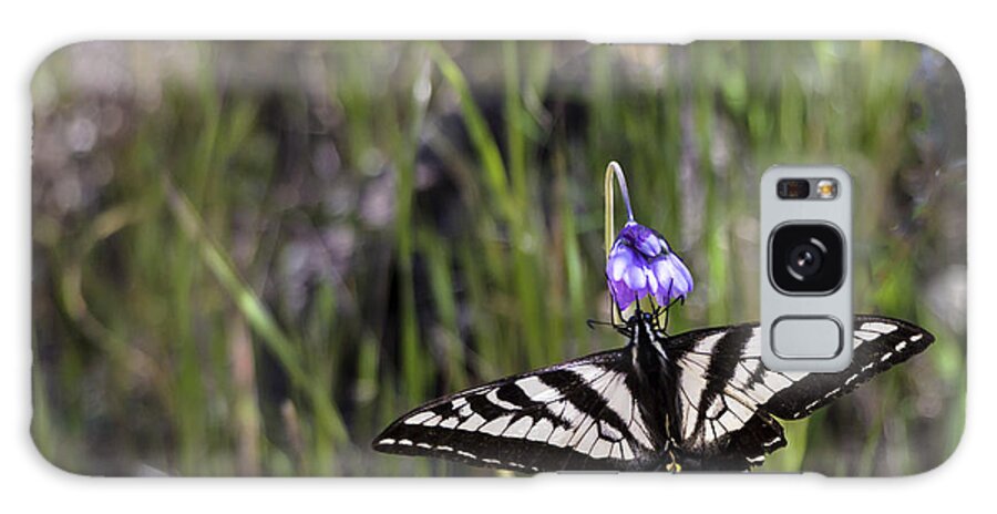 Swallowtail Galaxy Case featuring the photograph Western Tiger Swallowtail by Ed Clark