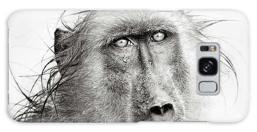 Baboon Galaxy Case featuring the photograph Wet Baboon portrait by Johan Swanepoel