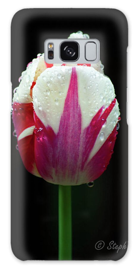 Tulip Galaxy Case featuring the photograph Wet Tulilp by Steph Gabler