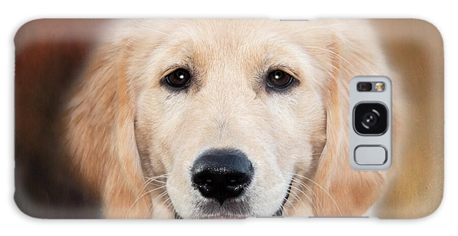 Golden Retriever Galaxy Case featuring the photograph What a Furball by Eleanor Abramson