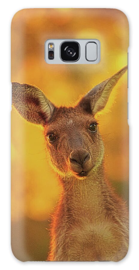 Mad About Wa Galaxy S8 Case featuring the photograph What's Up, Yanchep National Park by Dave Catley