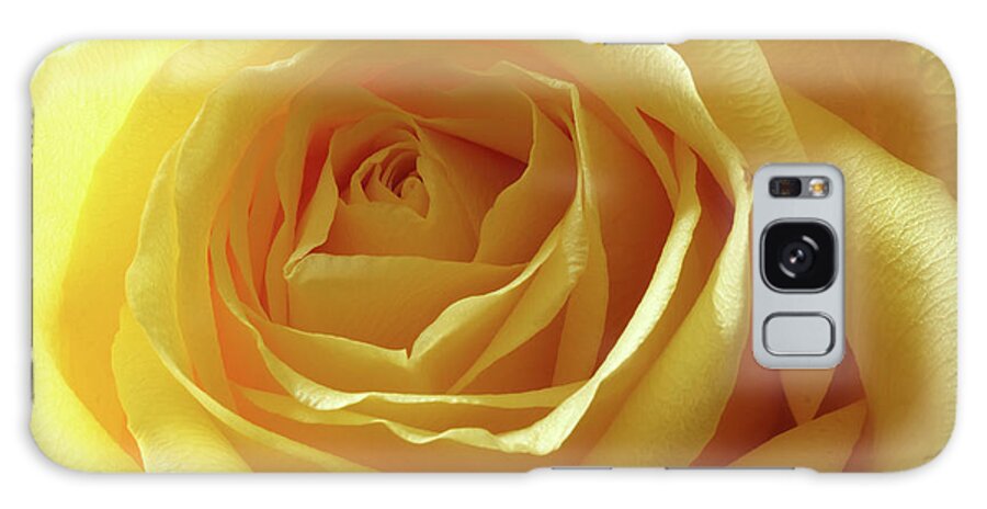 Rose Galaxy Case featuring the photograph When I Think Of You by Mike Eingle