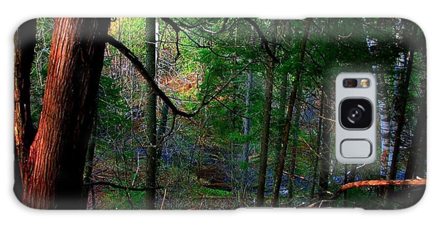 Forest Galaxy Case featuring the photograph Whisperings by Elfriede Fulda