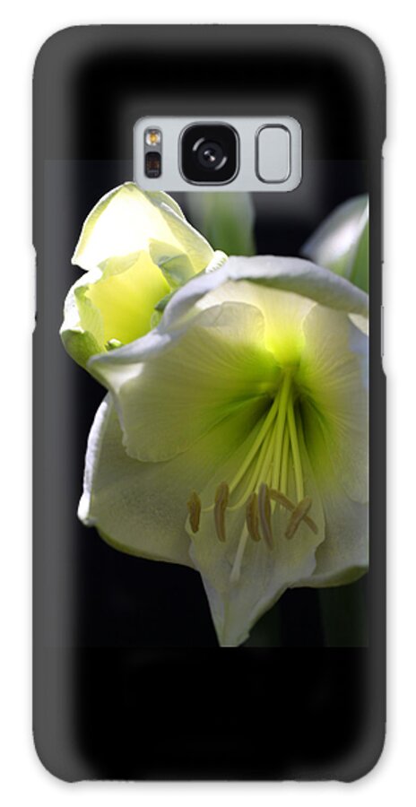 Flower Galaxy Case featuring the photograph White Amaryllis by Tammy Pool