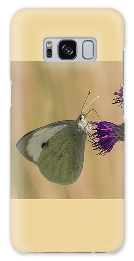 Nature Galaxy S8 Case featuring the photograph White and Purple by Wendy Cooper