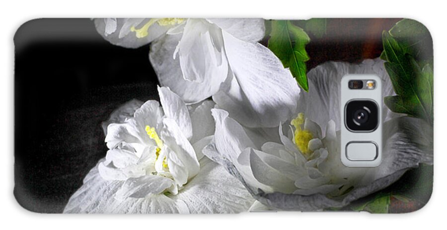 Blossoms Galaxy Case featuring the photograph White Blossoms by Robert Och