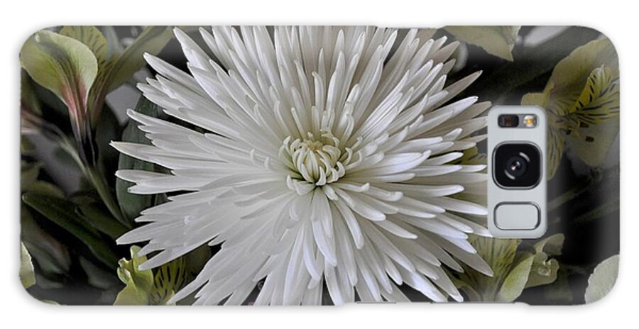 White Galaxy Case featuring the photograph White Chrysanthemum by Bridgette Gomes
