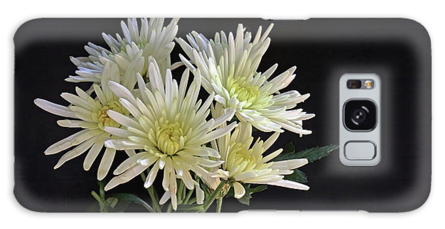 Chrysanthemum Galaxy Case featuring the photograph White Chrysanthemums by Jeff Townsend
