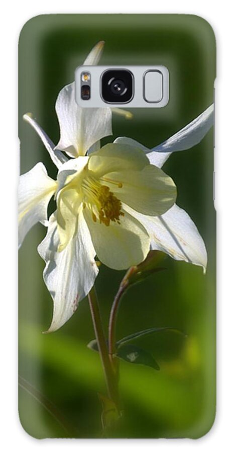 Flower Galaxy Case featuring the photograph White Columbine Flower by Nathan Abbott