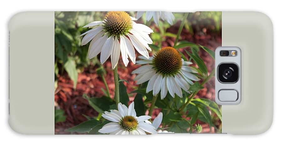 Photograph Galaxy Case featuring the photograph White Echinacea in Pastel by Suzanne Gaff
