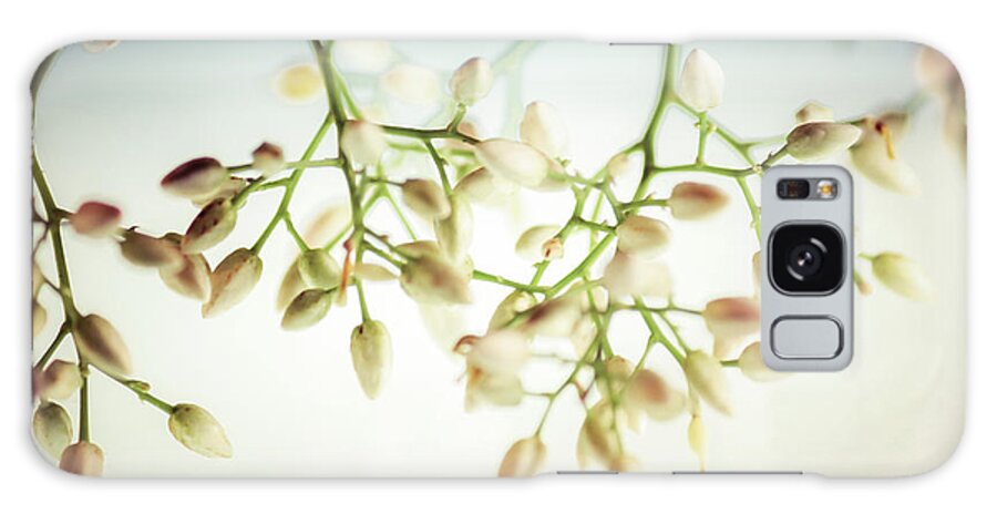 White Flowers Galaxy Case featuring the photograph White Flowers by Bobby Villapando