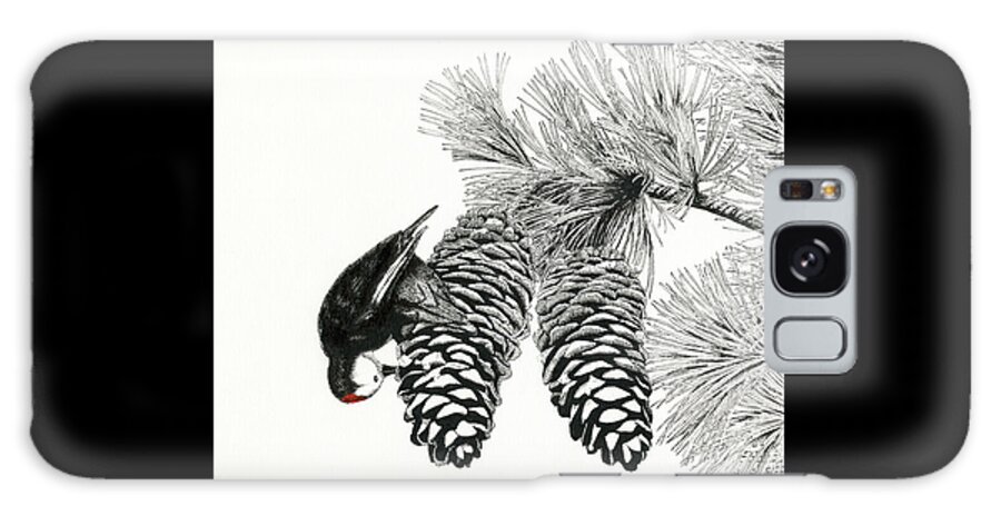 White-headed Woodpecker Galaxy Case featuring the drawing White-Headed Woodpecker by Timothy Livingston