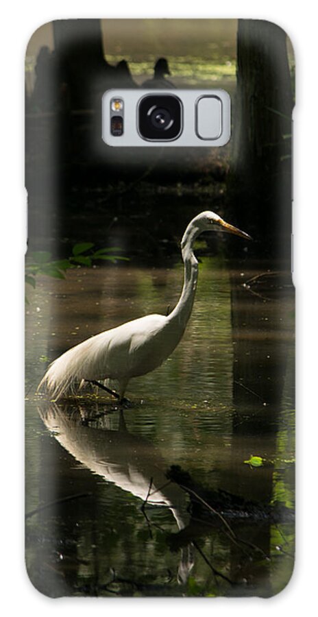 Great Egret Galaxy Case featuring the photograph White Heron Hunting by Alicia BRYANT